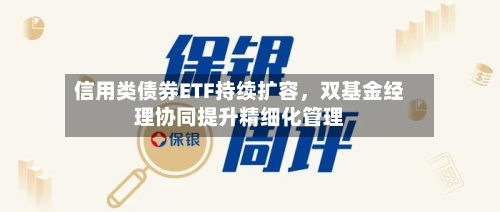 信用类债券ETF持续扩容，双基金经理协同提升精细化管理