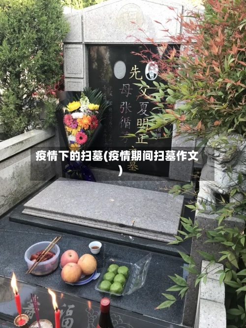 疫情下的扫墓(疫情期间扫墓作文)