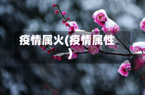 疫情属火(疫情属性)