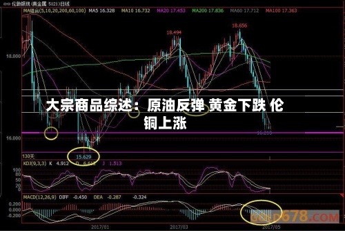 大宗商品综述：原油反弹 黄金下跌 伦铜上涨