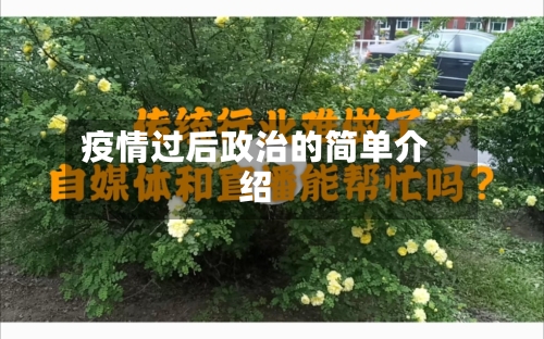 疫情过后政治的简单介绍