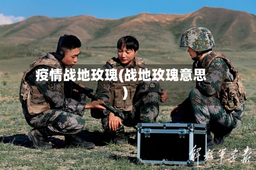 疫情战地玫瑰(战地玫瑰意思)