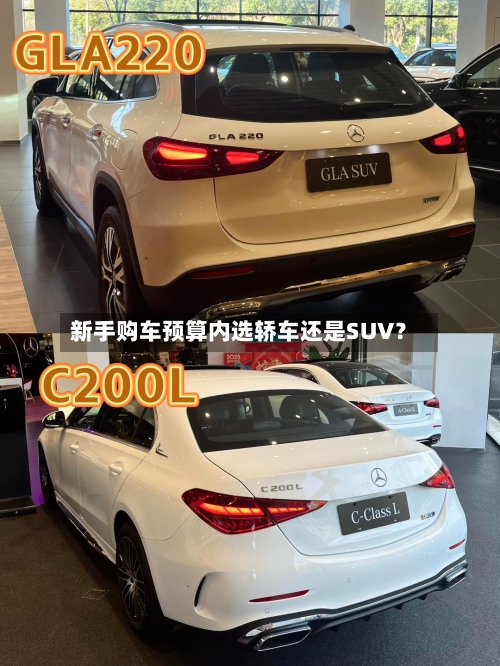 新手购车预算内选轿车还是SUV？