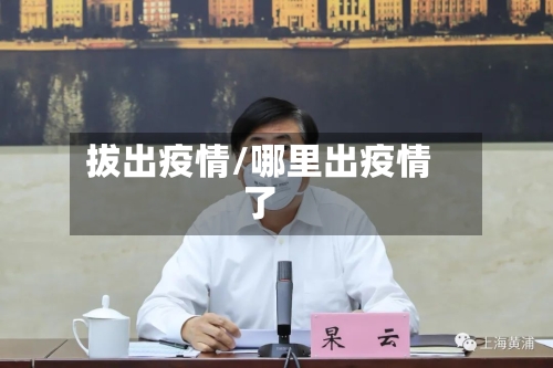 拔出疫情/哪里出疫情了