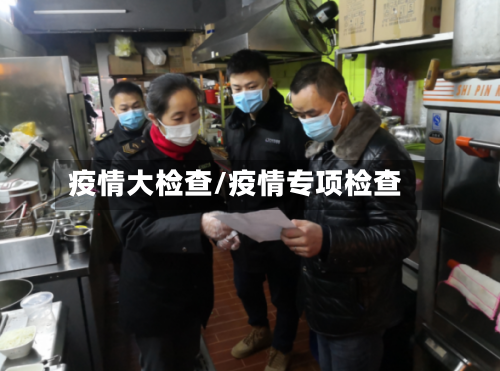 疫情大检查/疫情专项检查