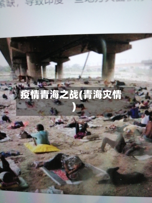 疫情青海之战(青海灾情)