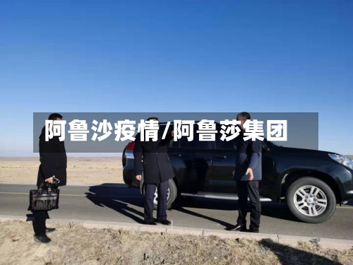 阿鲁沙疫情/阿鲁莎集团
