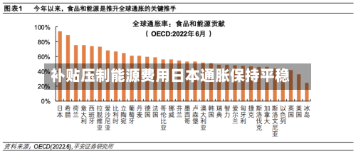 补贴压制能源费用日本通胀保持平稳