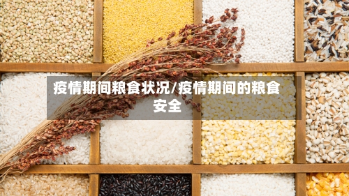 疫情期间粮食状况/疫情期间的粮食安全