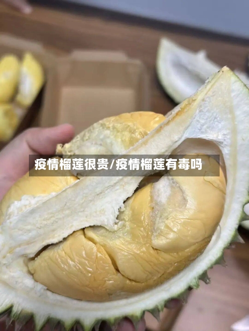 疫情榴莲很贵/疫情榴莲有毒吗
