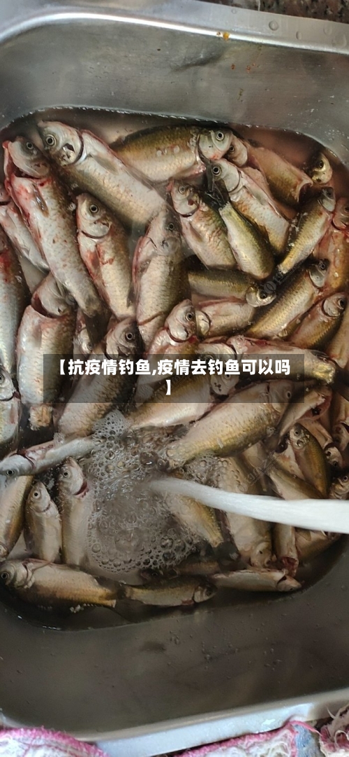 【抗疫情钓鱼,疫情去钓鱼可以吗】