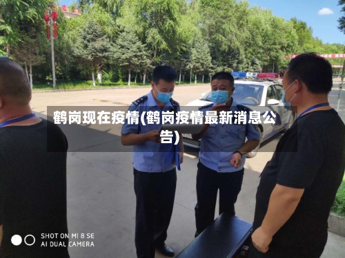鹤岗现在疫情(鹤岗疫情最新消息公告)