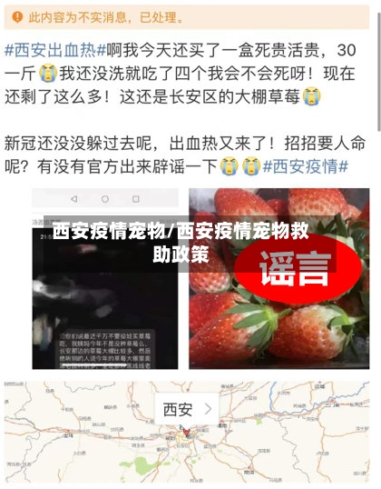 西安疫情宠物/西安疫情宠物救助政策