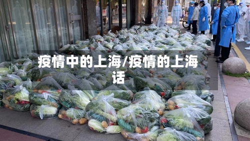 疫情中的上海/疫情的上海话