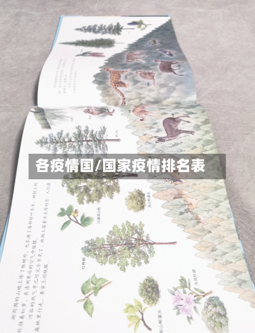 各疫情国/国家疫情排名表