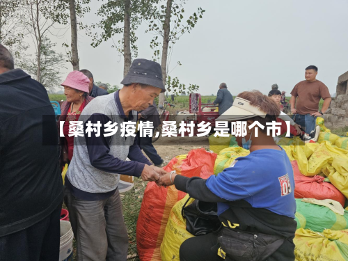 【桑村乡疫情,桑村乡是哪个市】