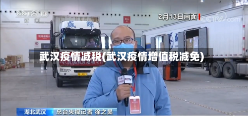 武汉疫情减税(武汉疫情增值税减免)
