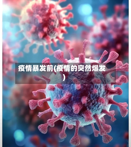 疫情暴发前(疫情的突然爆发)