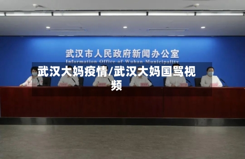 武汉大妈疫情/武汉大妈国骂视频