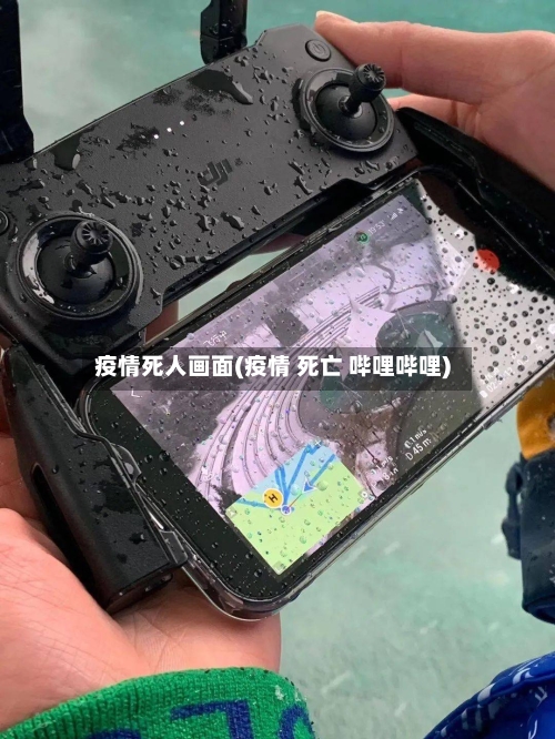 疫情死人画面(疫情 死亡 哔哩哔哩)