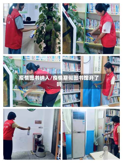 疫情图书纳入/疫情期间图书馆开了吗