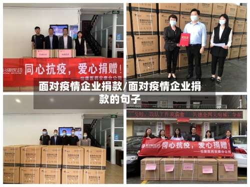 面对疫情企业捐款/面对疫情企业捐款的句子