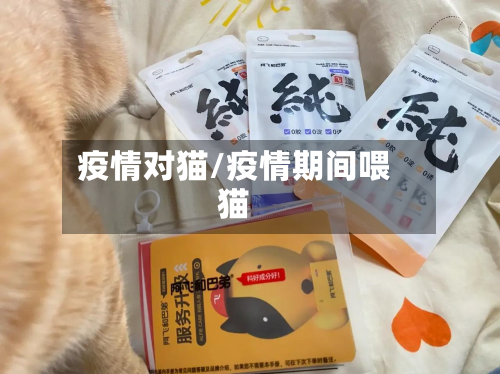疫情对猫/疫情期间喂猫