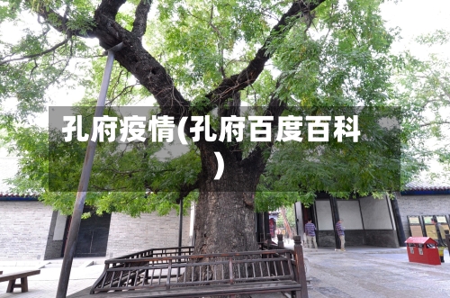 孔府疫情(孔府百度百科)