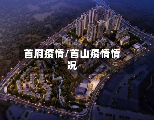 首府疫情/首山疫情情况