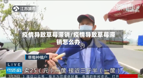 疫情导致草莓滞销/疫情导致草莓滞销怎么办