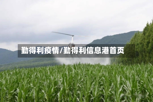 勤得利疫情/勤得利信息港首页