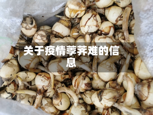 关于疫情荸荠难的信息
