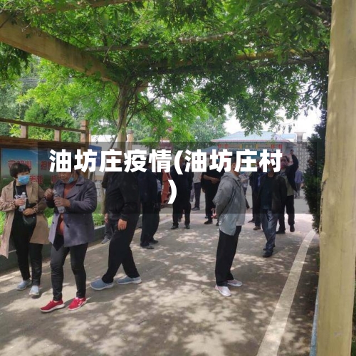 油坊庄疫情(油坊庄村)