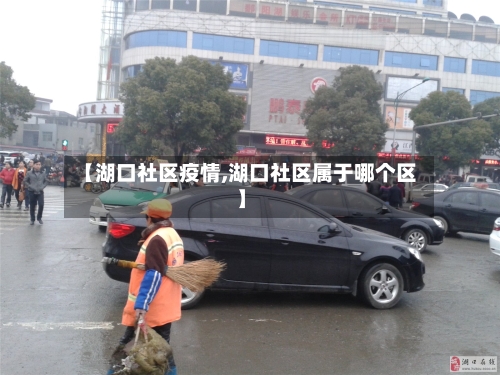【湖口社区疫情,湖口社区属于哪个区】