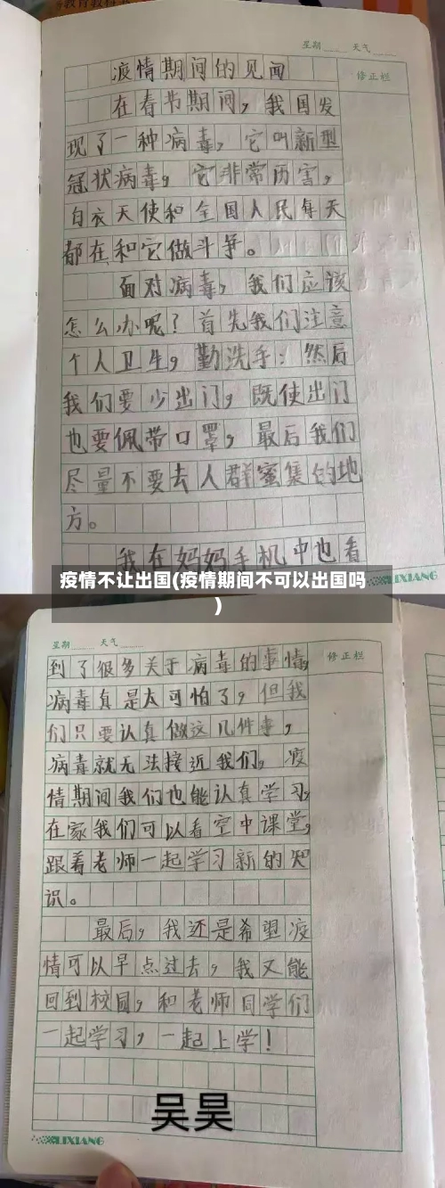 疫情不让出国(疫情期间不可以出国吗)
