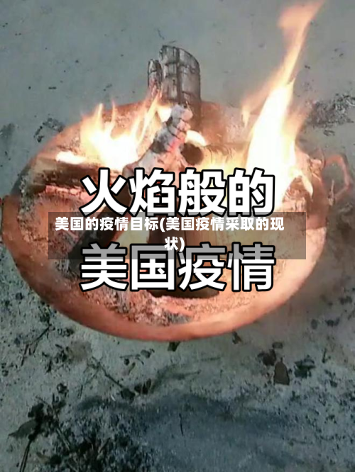 美国的疫情目标(美国疫情采取的现状)
