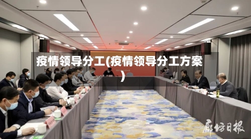 疫情领导分工(疫情领导分工方案)