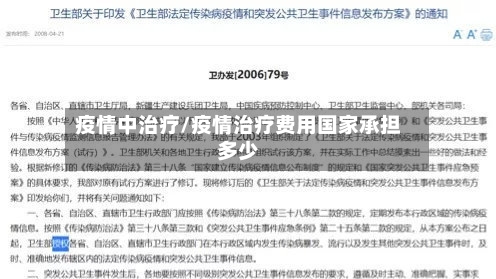 疫情中治疗/疫情治疗费用国家承担多少
