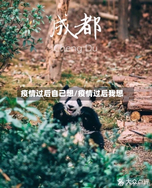 疫情过后自己想/疫情过后我想