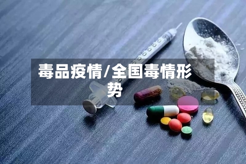 毒品疫情/全国毒情形势