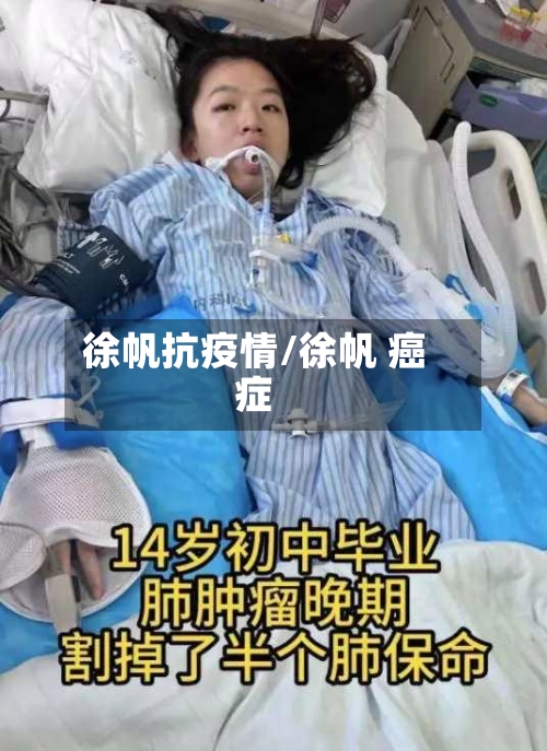 徐帆抗疫情/徐帆 癌症