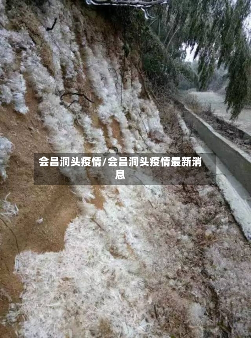 会昌洞头疫情/会昌洞头疫情最新消息