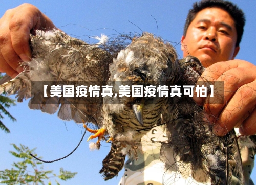 【美国疫情真,美国疫情真可怕】