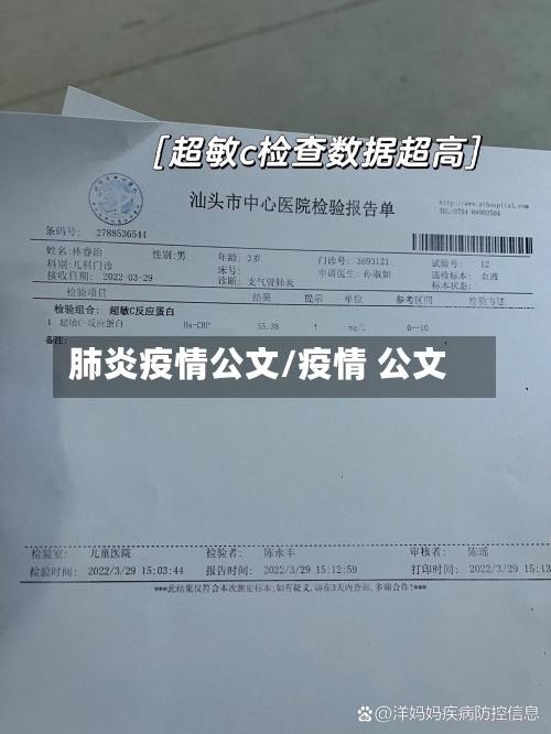 肺炎疫情公文/疫情 公文