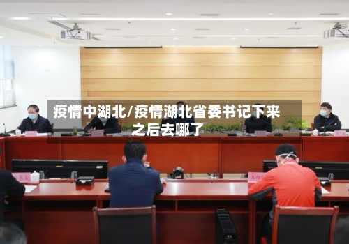 疫情中湖北/疫情湖北省委书记下来之后去哪了