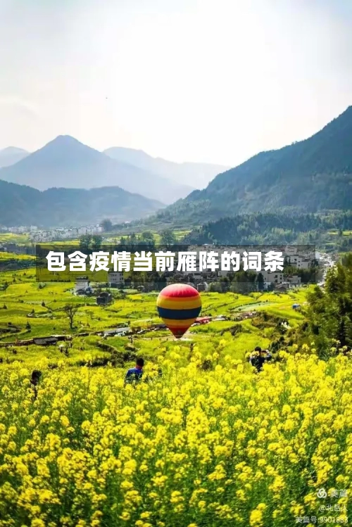 包含疫情当前雁阵的词条