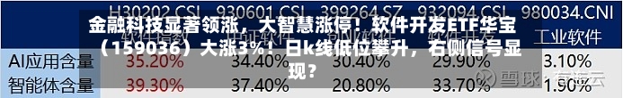 金融科技显著领涨，大智慧涨停！软件开发ETF华宝（159036）大涨3%！日k线低位攀升，右侧信号显现？