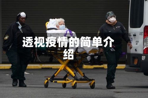 透视疫情的简单介绍
