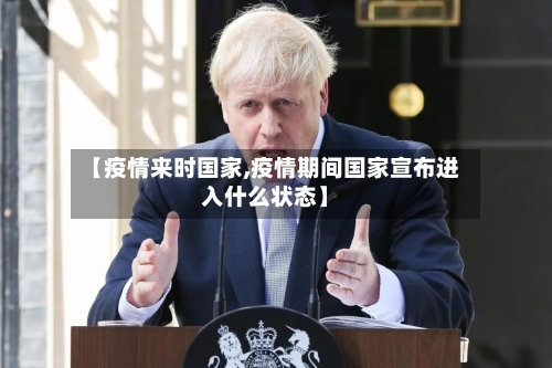 【疫情来时国家,疫情期间国家宣布进入什么状态】