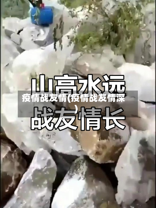 疫情战友情(疫情战友情深)